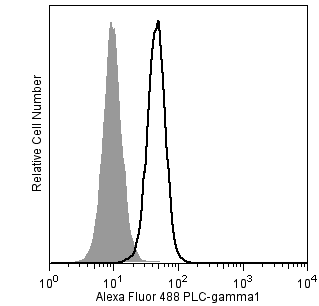 19342_PLCg1_A488_TDS.png